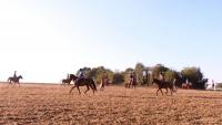 Perfectionnement dressage du 21 Octobre 2018 au Centre équestre de Maurecourt