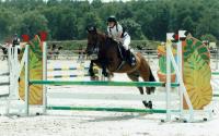 Championnat  de France CSO et Equifeel à l'Open de France Lamotte-Beuvron (41)