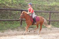 Perfectionnement obstacle poney du 19 Septembre 2021 au CEM