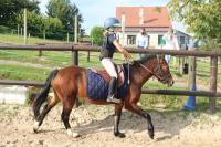 Perfectionnement obstacle poney du 19 Septembre 2021 au CEM