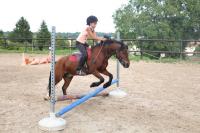 Perfectionnement obstacle poney du 19 Septembre 2021 au CEM