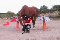 Récupérations des cours poneys et chevaux post-covid au CEM