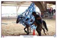 Lamotte 2023, Les Championnats de France d'équitation!