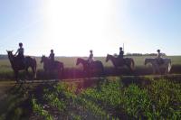 Récupérations des cours poneys et chevaux post-covid au CEM