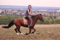 16 Septembre 2018 : Promenade chevaux 2h/ Promenade poney 1h30