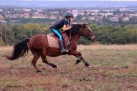 Promenade Poney du 16 Septembre 2018 au Centre équestre de Maurecourt