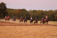 Promenade Poney du 16 Septembre 2018 au Centre équestre de Maurecourt