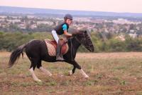 16 Septembre 2018 : Promenade chevaux 2h/ Promenade poney 1h30