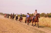 Promenade Poney du 16 Septembre 2018 au Centre équestre de Maurecourt