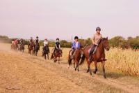 16 Septembre 2018 : Promenade chevaux 2h/ Promenade poney 1h30