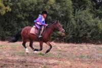 Promenade Poney du 16 Septembre 2018 au Centre équestre de Maurecourt