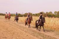 16 Septembre 2018 : Promenade chevaux 2h/ Promenade poney 1h30