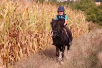 Promenade Poney du 16 Septembre 2018 au Centre équestre de Maurecourt