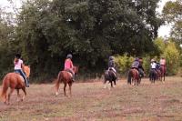 16 Septembre 2018 : Promenade chevaux 2h/ Promenade poney 1h30