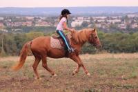 Promenade Poney du 16 Septembre 2018 au Centre équestre de Maurecourt