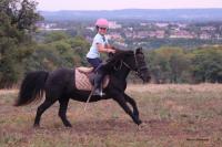 16 Septembre 2018 : Promenade chevaux 2h/ Promenade poney 1h30