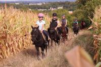 Promenade Poney du 16 Septembre 2018 au Centre équestre de Maurecourt