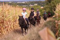 16 Septembre 2018 : Promenade chevaux 2h/ Promenade poney 1h30