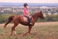 16 Septembre 2018 : Promenade chevaux 2h/ Promenade poney 1h30