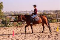 21 Octobre 2018 : Perfectionnement Dressage 5-6-7/ Initiation Adulte