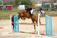 Concours de Saut d'Obstacle du 24 Mars 2019 au Centre équestre de Vernouillet