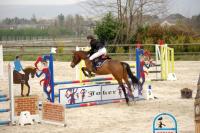 Concours de Saut d'Obstacle du 24 Mars 2019 au Centre équestre de Vernouillet