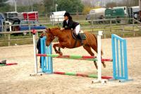 Concours de Saut d'Obstacle du 24 Mars 2019 au Centre équestre de Vernouillet