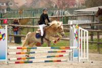 Concours de Saut d'Obstacle du 24 Mars 2019 au Centre équestre de Vernouillet