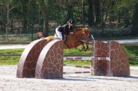 Championnat départemental des Yvelines de saut d'obstacle à Versailles