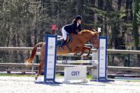 Championnat départemental des Yvelines de saut d'obstacle à Versailles