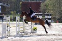 Championnat départemental des Yvelines de saut d'obstacle à Versailles