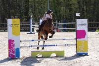 Championnat départemental des Yvelines de saut d'obstacle à Versailles