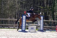 Championnat départemental des Yvelines de saut d'obstacle à Versailles