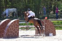 Championnat départemental des Yvelines de saut d'obstacle à Versailles