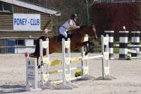 Championnat départemental des Yvelines de saut d'obstacle à Versailles