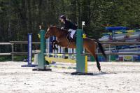 Championnat départemental des Yvelines de saut d'obstacle à Versailles