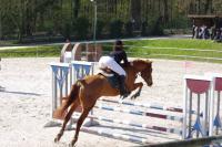 Championnat départemental des Yvelines de saut d'obstacle à Versailles