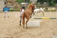 Championnat d'Ile de France d'Equifeel aux Ecuries de la Futaie (Marcoussis 91)