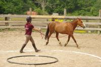 Championnat d'Ile de France d'Equifeel aux Ecuries de la Futaie (Marcoussis 91)