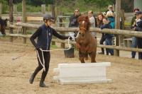 Championnat d'Ile de France d'Equifeel aux Ecuries de la Futaie (Marcoussis 91)