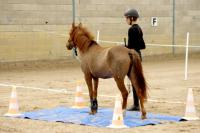 Championnat d'Ile de France d'Equifeel aux Ecuries de la Futaie (Marcoussis 91)