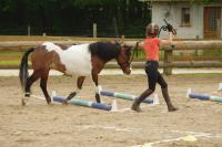 Championnat d'Ile de France d'Equifeel aux Ecuries de la Futaie (Marcoussis 91)