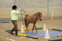 Championnat d'Ile de France d'Equifeel aux Ecuries de la Futaie (Marcoussis 91)