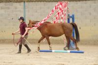 Championnat d'Ile de France d'Equifeel aux Ecuries de la Futaie (Marcoussis 91)