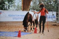 Championnat  de France CSO et Equifeel à l'Open de France Lamotte-Beuvron (41)