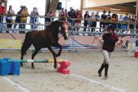 Championnat  de France CSO et Equifeel à l'Open de France Lamotte-Beuvron (41)