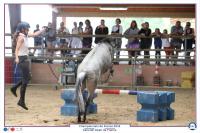 Lamotte 2023, Les Championnats de France d'équitation!