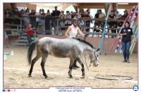 Lamotte 2023, Les Championnats de France d'équitation!