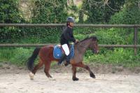 CSO interne du Dimanche 14 Avril 2024