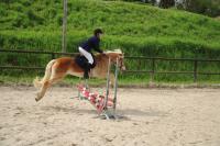 CSO interne du Dimanche 14 Avril 2024